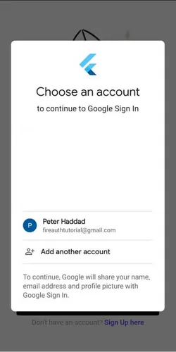 firebase auth google sign in flutter