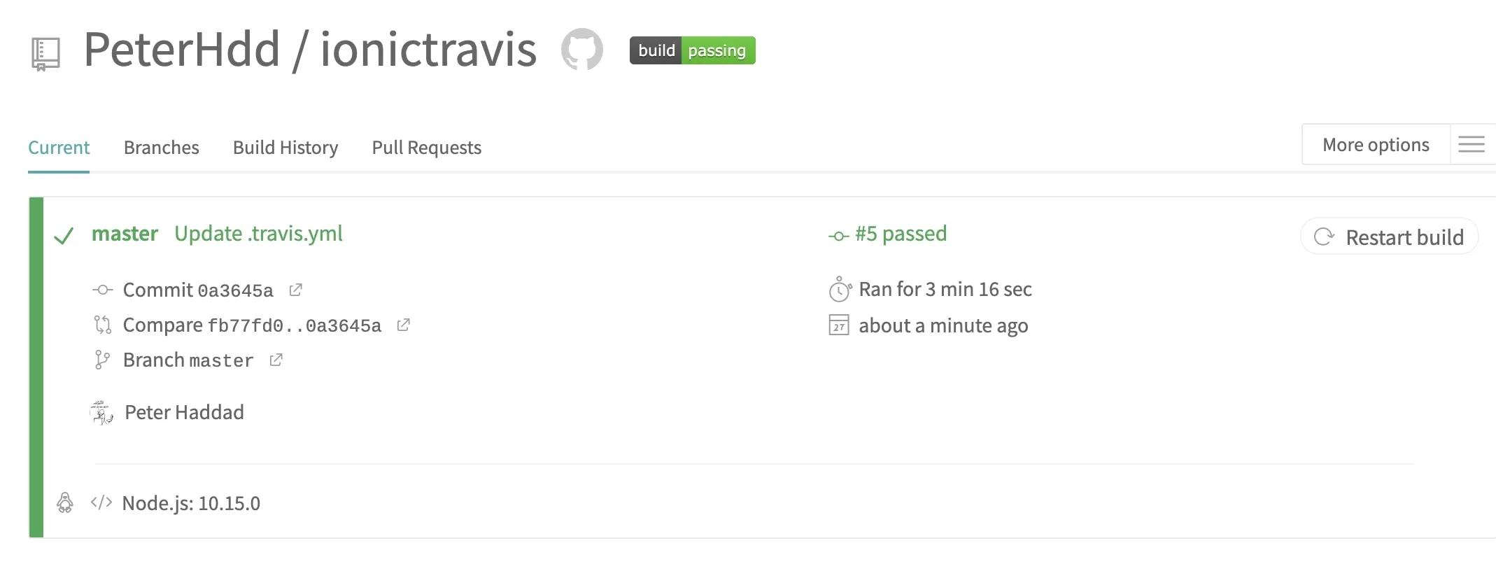 travis ci build success